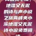 两峰夹小溪，地湿又无泥的诗与声小说之旅两峰夹小溪地湿又无泥诗小说免费阅读  第1张
