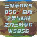 三叶草GW5856，自然之美与科技之力三叶草GW5856  第1张