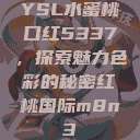 YSL水蜜桃口红5337，探索魅力色彩的秘密红桃国际m8n3  第1张