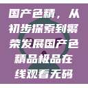 国产色精，从初步探索到繁荣发展国产色精品极品在线观看无码  第1张