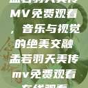 孟若羽天美传MV免费观看，音乐与视觉的绝美交融孟若羽天美传mv免费观看在线观看  第1张