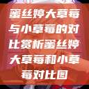 蜜丝婷大草莓与小草莓的对比赏析蜜丝婷大草莓和小草莓对比图  第1张