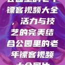 公园里的老年镖客视频大全，活力与技艺的完美结合公园里的老年镖客视频大全图片  第1张