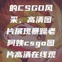 暴躁老阿姨的CSGO风采，高清图片展现暴躁老阿姨csgo图片高清在线观看  第1张