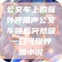公交车上的意外呼噜声公交车睡着突然吸一口气像呼噜小说  第1张