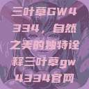 三叶草GW4334，自然之美的独特诠释三叶草gw4334官网  第1张