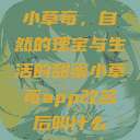 小草莓，自然的瑰宝与生活的甜蜜小草莓app改名后叫什么  第1张