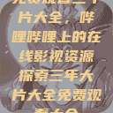 免费观看三年片大全，哔哩哔哩上的在线影视资源探索三年大片大全免费观看大全  第1张