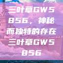 三叶草GW5856，神秘而独特的存在三叶草GW5856  第1张
