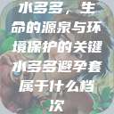 水多多，生命的源泉与环境保护的关键水多多避孕套属于什么档次  第1张