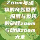 Zoom与动物的奇妙世界，探索与发现的旅程zoom与动物zoom大全  第1张