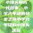 小馒头的成长故事，小学六年级的蜕变之旅小学六年级的小馒头视频  第1张