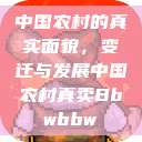 中国农村的真实面貌，变迁与发展中国农村真卖Bbwbbw  第1张
