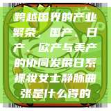 跨越国界的产业繁荣，国产、日产、欧产与美产的协同发展日系裸妆女士静脉曲张是什么得的  第1张