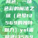 探索YSL蜜桃色，一场色彩的魔法之旅（色号13569的独特魅力）ysl蜜桃色13569图片  第1张