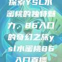 探索YSL水蜜桃的独特魅力，86入口的奇幻之旅ysl水蜜桃86入口直播  第1张