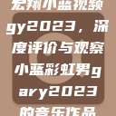 宏翔小蓝视频gy2023，深度评价与观察小蓝彩虹男gary2023的音乐作品  第1张