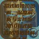 揭秘108式招式拍拍拍图解，深度解析与实战应用108式招式拍拍拍图解真人版  第1张