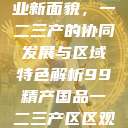 探索中国产业新面貌，一二三产的协同发展与区域特色解析99精产国品一二三产区区观看  第1张