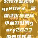 宏翔小蓝视频gy2023，深度评价与观察小蓝彩虹男gary2023的音乐作品  第1张