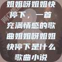 姐姐呀姐姐快停下，一首充满情感的歌曲姐姐呀姐姐快停下是什么歌曲小说  第1张