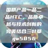 国精产品一品二品HTC，品质卓越与技术创新的完美结合三叶草gw5856  第1张