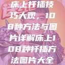 床上扦插技巧大观，108种方法与图片详解床上108种扦插方法图片大全  第1张