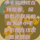 小毛驴影视在线观看，探索影视娱乐的新天地小毛驴影视在线观看免费版  第1张
