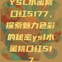 YSL水蜜桃口红5177，探索魅力色彩的秘密ysl水蜜桃口红517  第1张