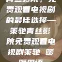 青丝影院，免费观看电视剧的最佳选择—策驰青丝影院免费观看电视剧策驰 暖暖国语  第1张