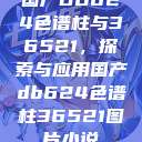 国产DB624色谱柱与36521，探索与应用国产db624色谱柱36521图片小说  第1张