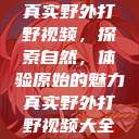 真实野外打野视频，探索自然，体验原始的魅力真实野外打野视频大全  第1张