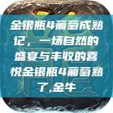 金银瓶4葡萄成熟记，一场自然的盛宴与丰收的喜悦金银瓶4葡萄熟了,金牛  第1张
