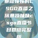 暴躁妹妹的CSGO直播之旅暴躁妹妹csgo直播节目回放完整版  第1张