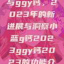 探索小蓝g钙与ggy钙，2023年的新进展与洞察小蓝g钙2023ggy钙2023的功能介绍  第1张