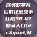 揭秘红桃背后的隐藏人口，探寻数字背后的秘密故事红桃38.47隐藏人口{dc"MIYU02"  第1张
