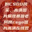 暴躁老阿姨的CSGO风采，高清图片展现暴躁老阿姨csgo图片高清在线观看  第1张