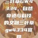 三叶草GW4334，自然奇迹与科技的交融三叶草gw4334官网  第1张