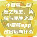 小草莓，自然之瑰宝，美味与健康之源小草莓app改名后叫什么  第1张