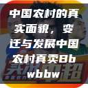 中国农村的真实面貌，变迁与发展中国农村真卖Bbwbbw  第1张