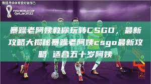 暴躁老阿姨教你玩转CSGO，最新攻略大揭秘暴躁老阿姨csgo最新攻略 适合五十岁阿姨  第1张