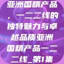 亚洲国精产品，一二二线的独特魅力与卓越品质亚洲国精产品一二二线_第1集  第1张