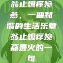 翁止熄痒婉燕，一曲和谐的生活乐章翁止熄痒婉燕最火的一句  第1张