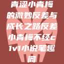 青涩小青梅的微妙反差与成长之路反差小青梅不经c1v1小说笔趣阁  第1张