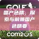 国产色精，探索与前景国产色精要  第1张