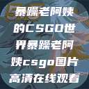 暴躁老阿姨的CSGO世界暴躁老阿姨csgo图片高清在线观看  第1张