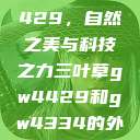 三叶草GW4429，自然之美与科技之力三叶草gw4429和gw4334的外观对比  第1张