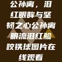公孙离，泪红眼眸与坚韧之心公孙离眼流泪红脸咬铁球图片在线观看  第1张