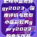 宏翔小蓝视频gy2023，深度评价与观察小蓝彩虹男gary2023的音乐作品  第1张