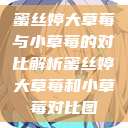 蜜丝婷大草莓与小草莓的对比解析蜜丝婷大草莓和小草莓对比图  第1张
